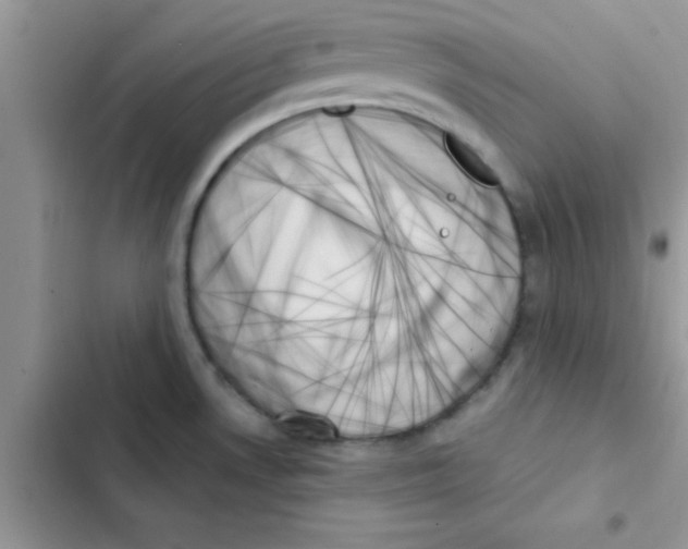X0000103131530200809191929