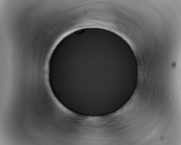 X0000103131531200809191929