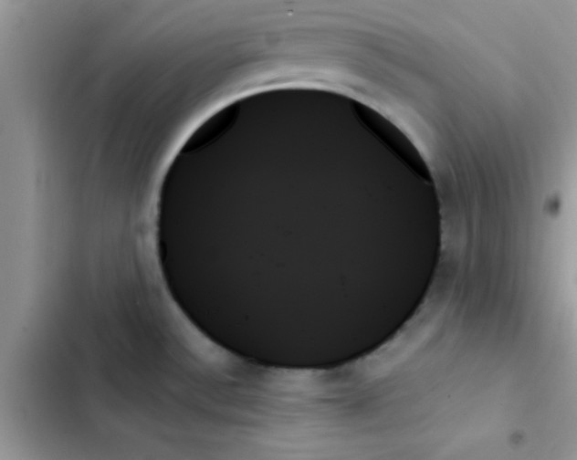 X0000103131532200809191929