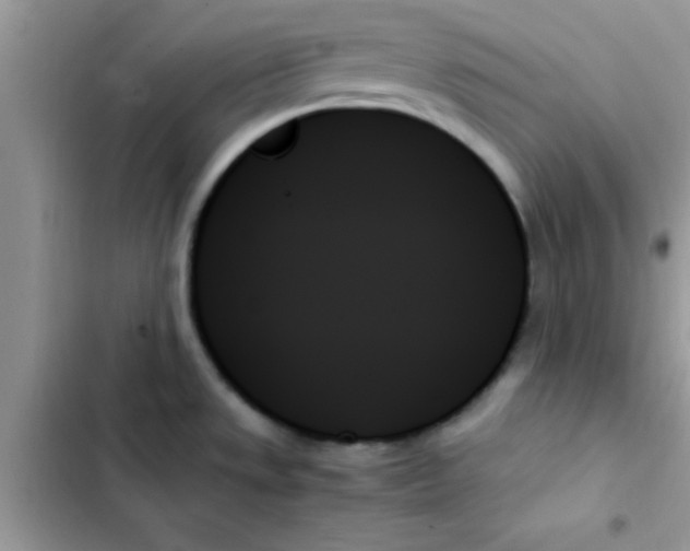 X0000103131533200809191929