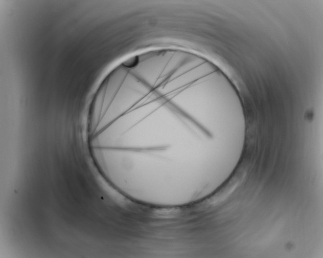 X0000103131535200809191929