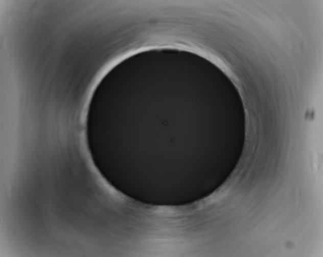 X0000103131536200809191929