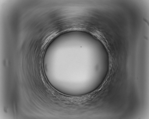 X0000103140001200808221115