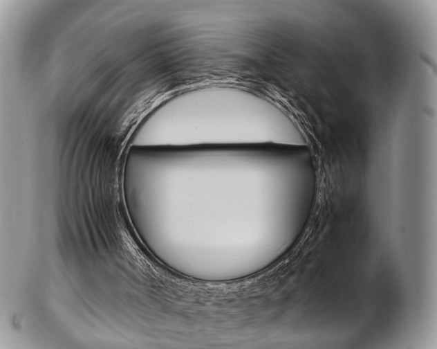 X0000103140002200808221115