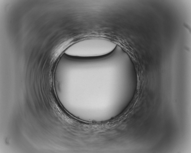 X0000103140005200808221115