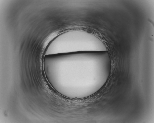 X0000103140006200808221115