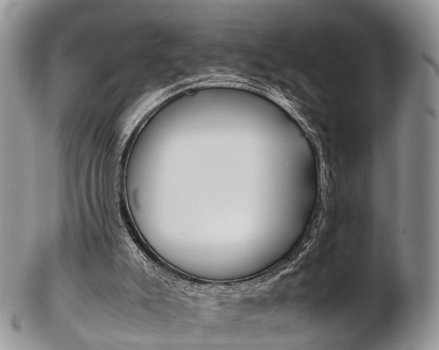 X0000103140007200808221115