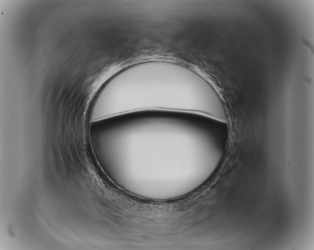 X0000103140008200808221115