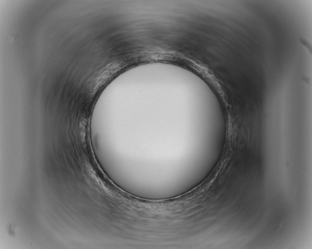 X0000103140010200808221115