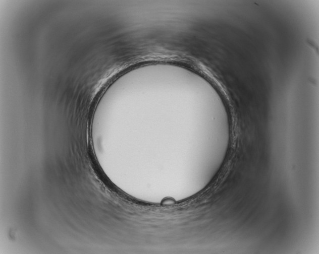 X0000103140011200808221115