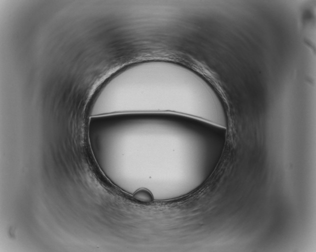 X0000103140012200808221115