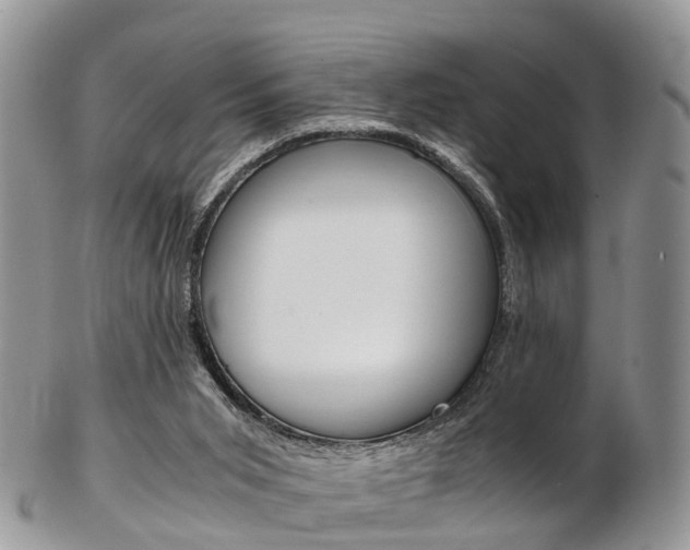 X0000103140015200808221115