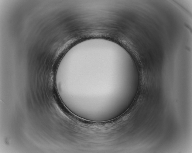 X0000103140016200808221115