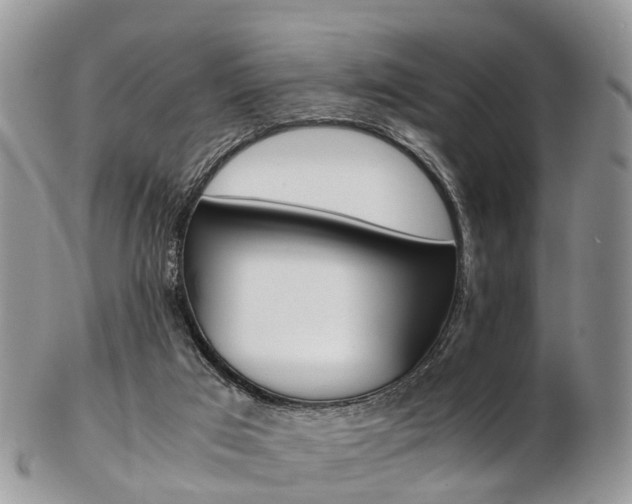 X0000103140017200808221115