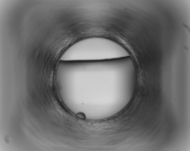 X0000103140018200808221115