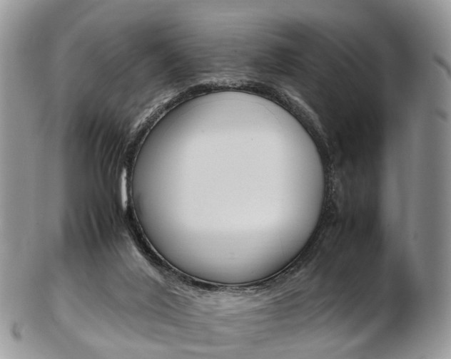 X0000103140020200808221114