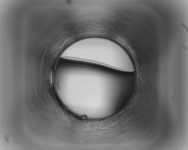 X0000103140021200808221114