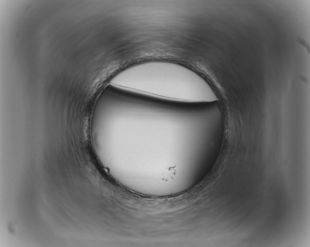 X0000103140023200808221114