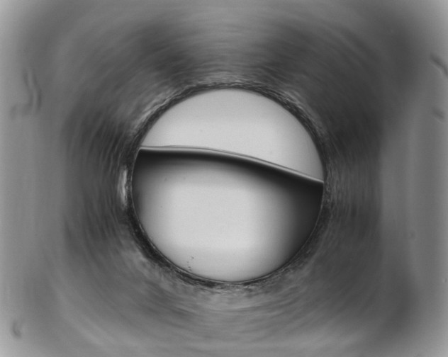 X0000103140024200808221114