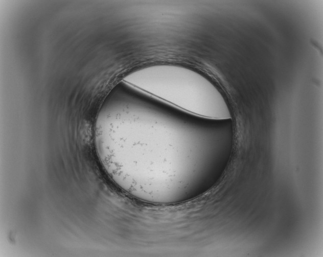 X0000103140025200808221114