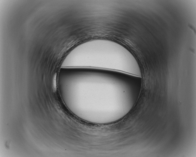 X0000103140028200808221114