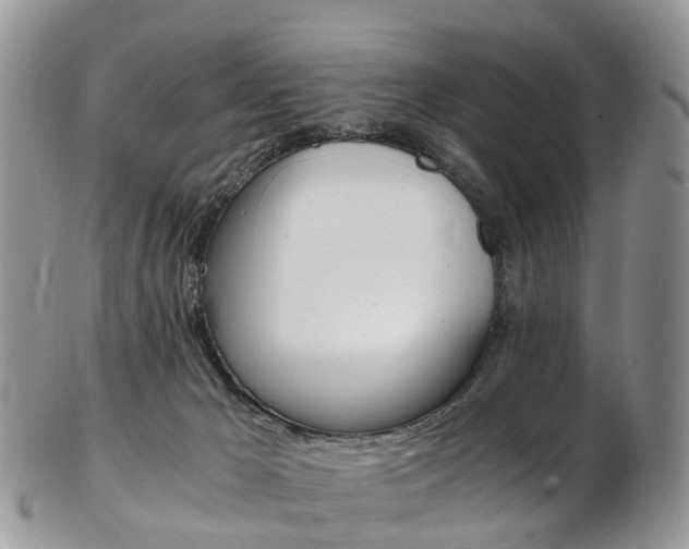 X0000103140029200808221114