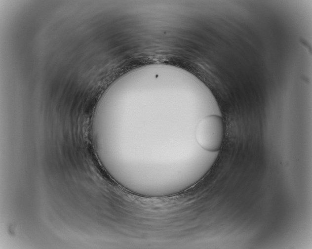 X0000103140030200808221114