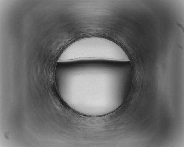 X0000103140031200808221114