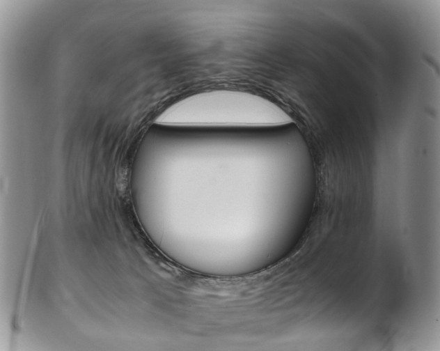 X0000103140033200808221114