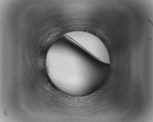 X0000103140035200808221114