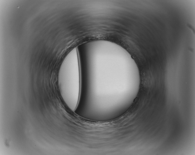 X0000103140036200808221114