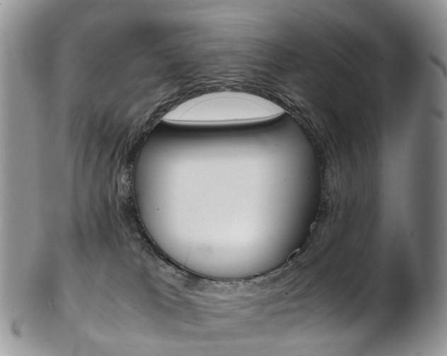 X0000103140037200808221114