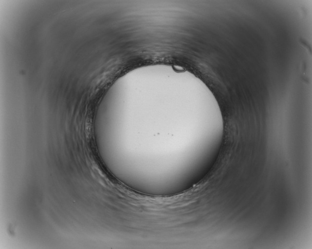 X0000103140039200808221114