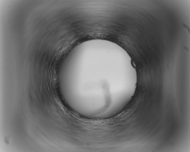 X0000103140040200808221114