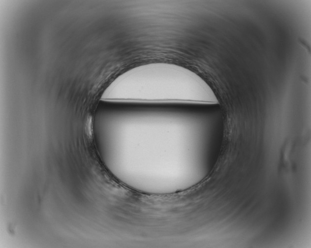 X0000103140041200808221114