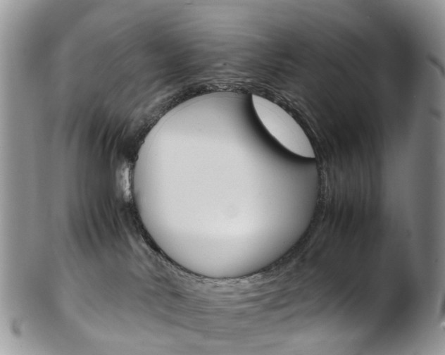 X0000103140042200808221114