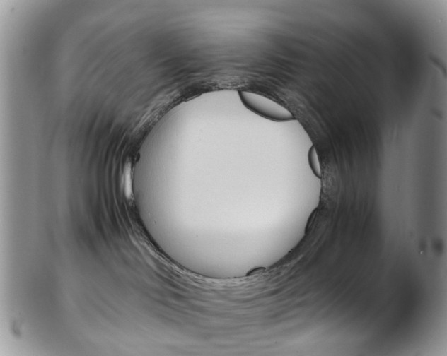 X0000103140046200808221114