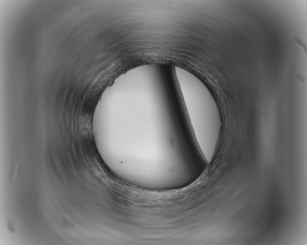 X0000103140048200808221114