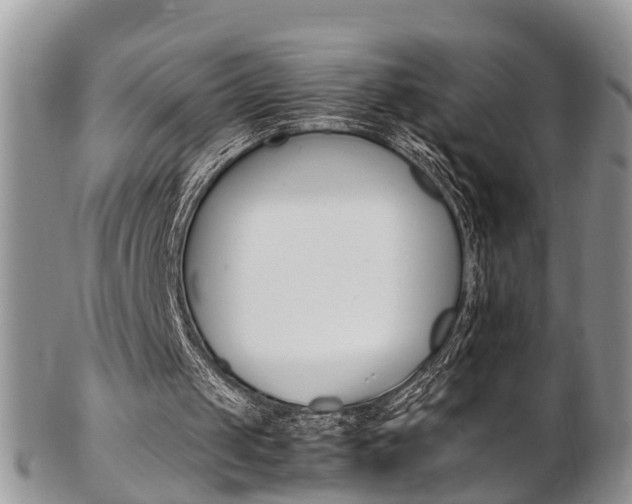 X0000103140049200808221113