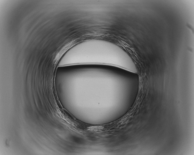 X0000103140051200808221113