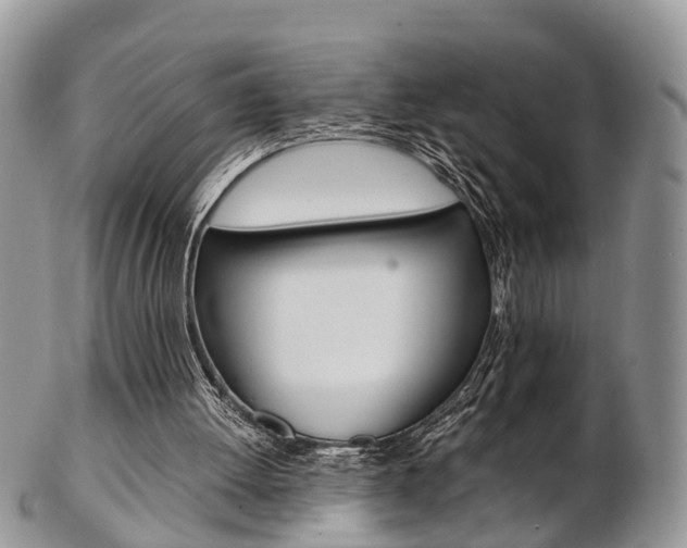 X0000103140052200808221113