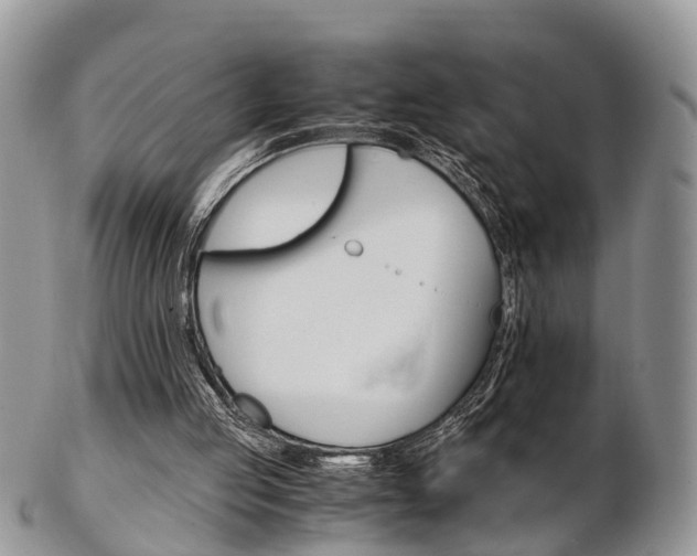 X0000103140053200808221113