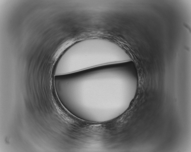 X0000103140054200808221113