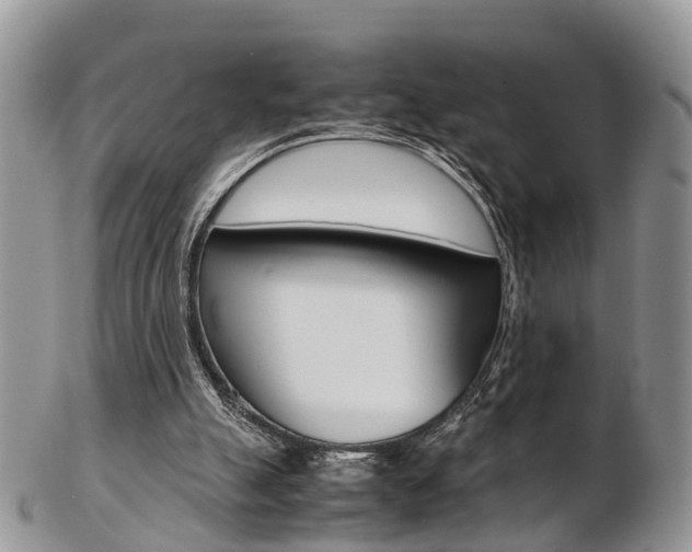 X0000103140055200808221114