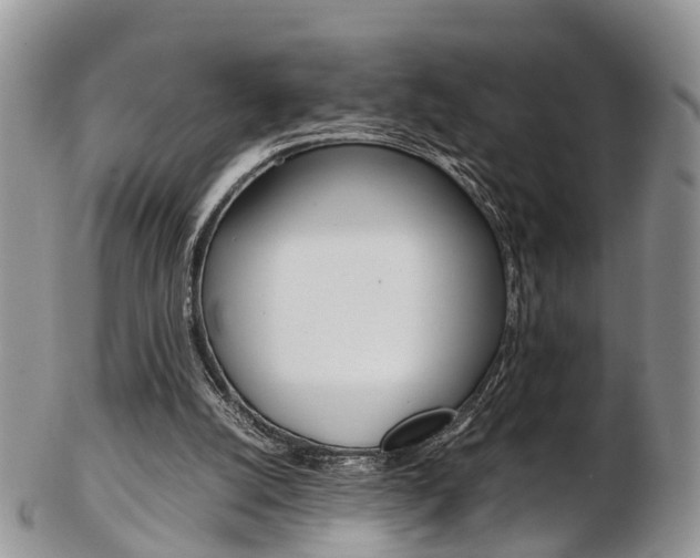 X0000103140056200808221114