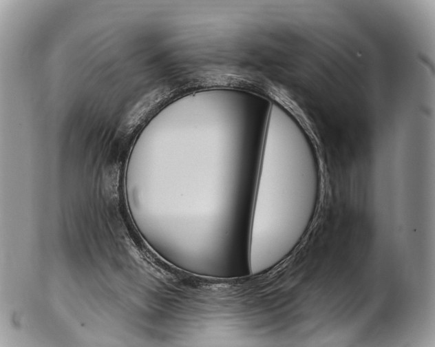 X0000103140058200808221114