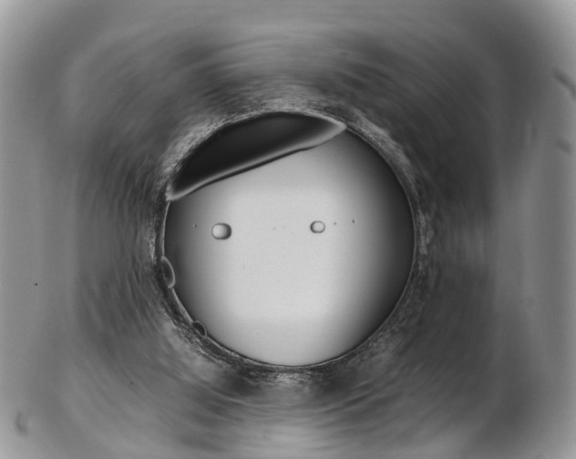 X0000103140060200808221114