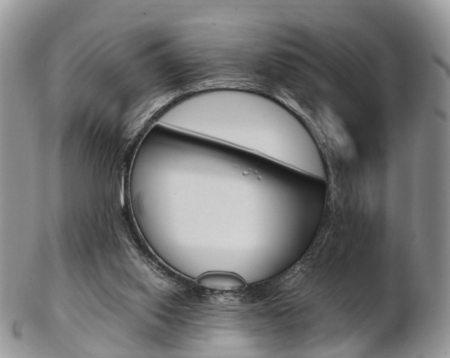 X0000103140062200808221114