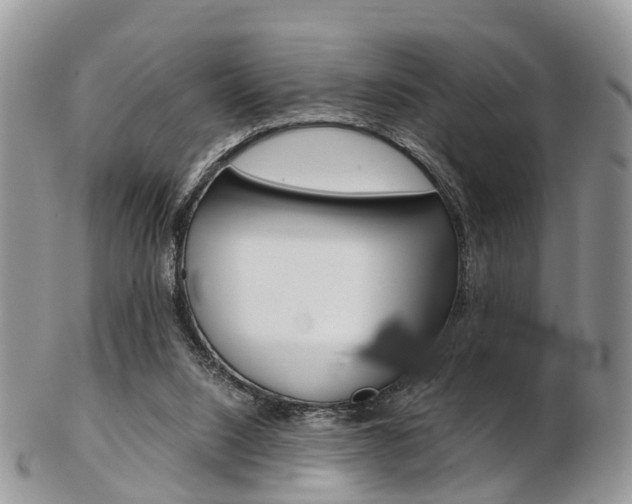 X0000103140064200808221114