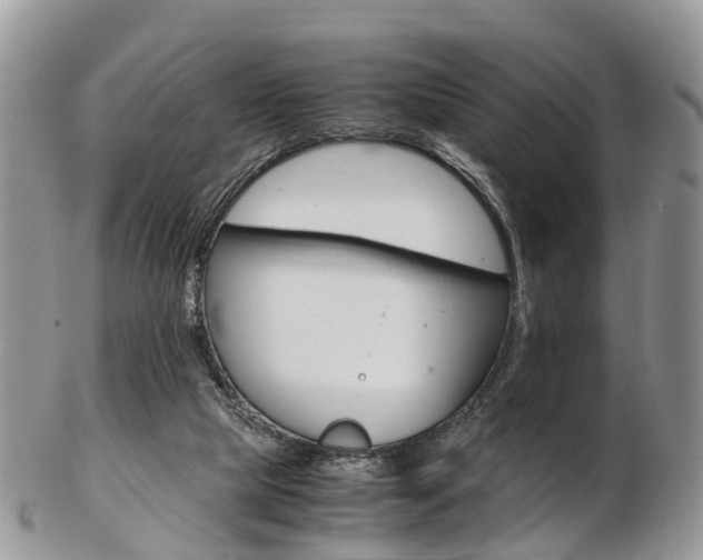 X0000103140065200808221114